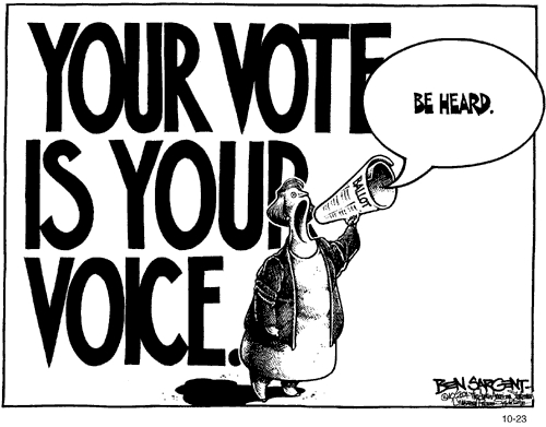Your-vote-is-your-voice